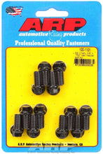 Load image into Gallery viewer, ARP100-1101.jpg