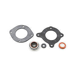 DedenbearWater Pump Seal Kit