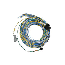 Load image into Gallery viewer, FuelTechFT550 B Harness 10ft