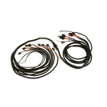 Load image into Gallery viewer, FuelTechPRO550/600 Ford V8 Smart Coil Complete Harness