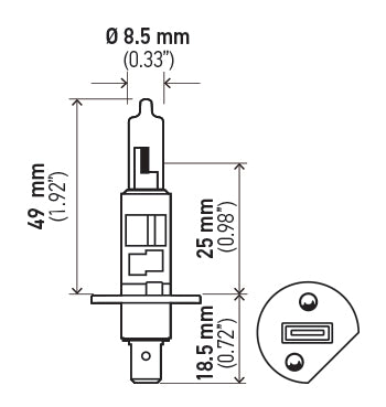 H1 24V.PT01.jpg