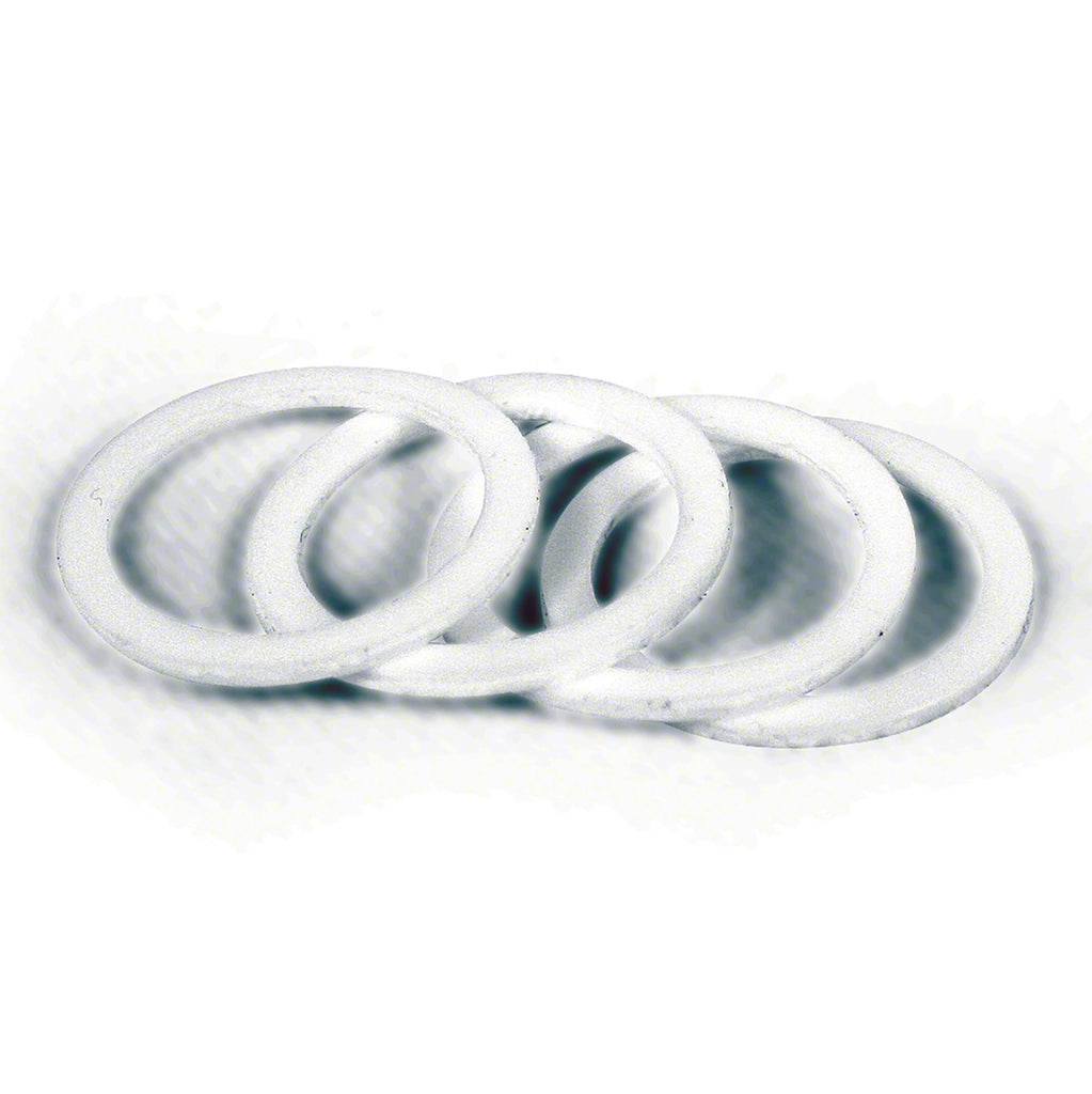 S73_579069_PTFE Washer.jpg